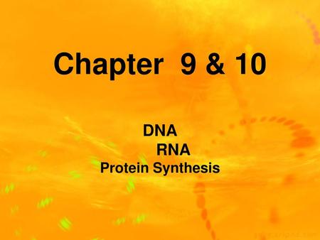DNA RNA Protein Synthesis