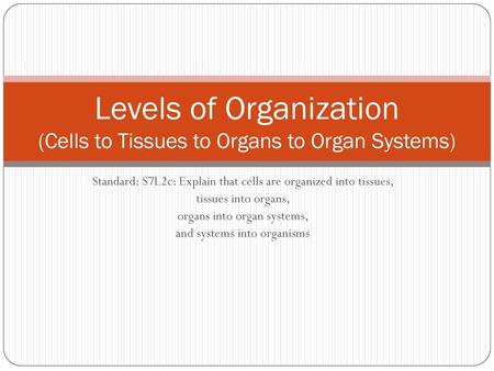 Levels of Organization (Cells to Tissues to Organs to Organ Systems)