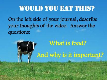Would YOU Eat This? And why is it important? What is food?
