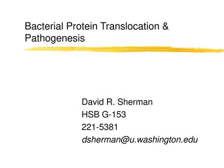 Bacterial Protein Translocation & Pathogenesis