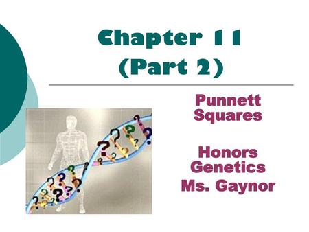 Punnett Squares Honors Genetics Ms. Gaynor