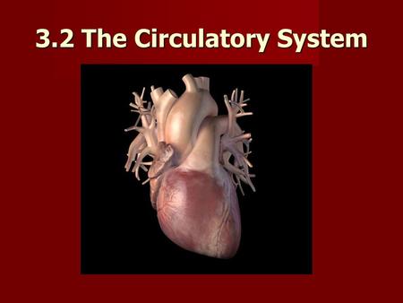 3.2 The Circulatory System