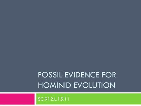 Fossil Evidence for Hominid Evolution
