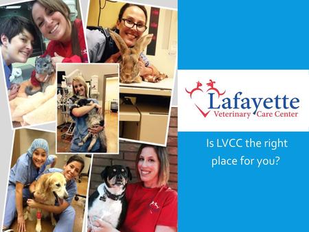 Is LVCC the right place for you?
