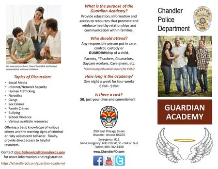 What is the purpose of the Guardian Academy?