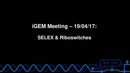iGEM Meeting – 19/04/17: SELEX & Riboswitches