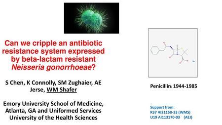 Can we cripple an antibiotic resistance system expressed by beta-lactam resistant Neisseria gonorrhoeae? S Chen, K Connolly, SM Zughaier, AE Jerse, WM.