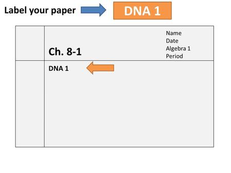 Label your paper DNA 1.