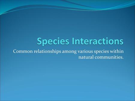 Common relationships among various species within natural communities.