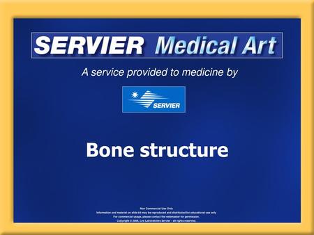 Bone structure.