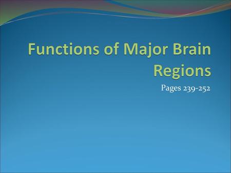 Functions of Major Brain Regions
