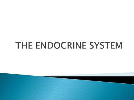 THE ENDOCRINE SYSTEM.