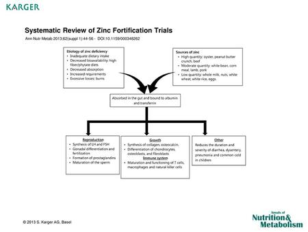 Systematic Review of Zinc Fortification Trials