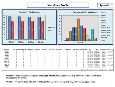Workforce Profile Appendix 1