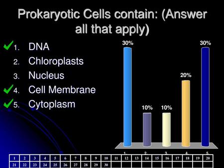 Prokaryotic Cells contain: (Answer all that apply)