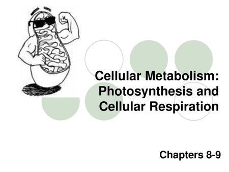 Cellular Metabolism: Photosynthesis and Cellular Respiration