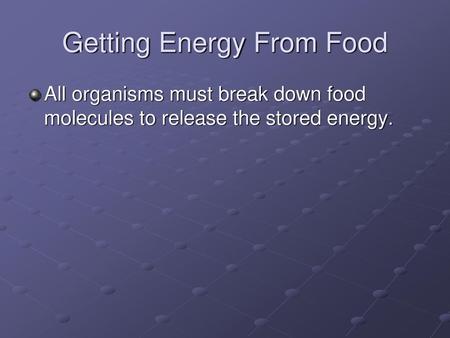 Getting Energy From Food
