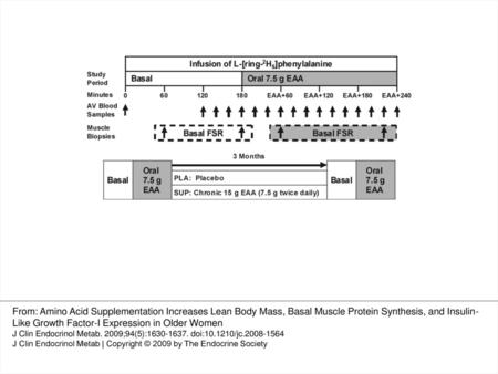 Fig. 1. Baseline and 3-month infusion protocol