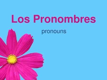 Los Pronombres pronouns.