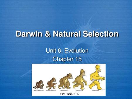presentation on natural selection
