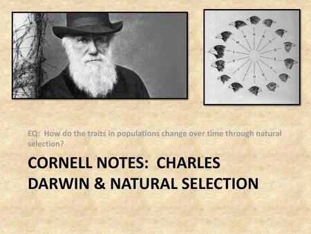 CORNELL NOTES: CHARLES DARWIN & NATURAL SELECTION
