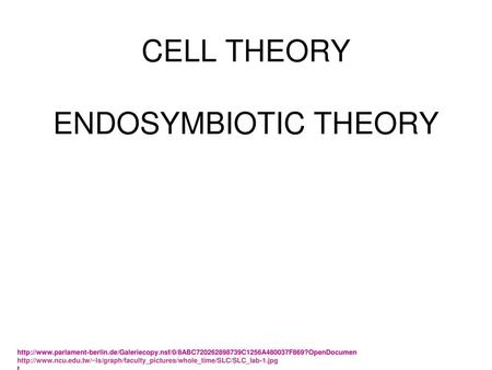 CELL THEORY ENDOSYMBIOTIC THEORY