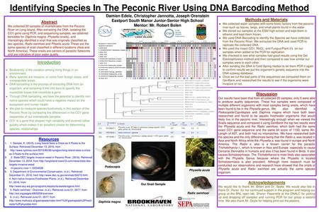 Identifying Species In The Peconic River Using DNA Barcoding Method