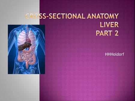 Cross-Sectional Anatomy LIVER Part 2