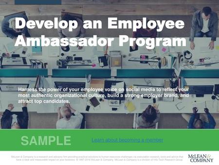 Develop an Employee Ambassador Program