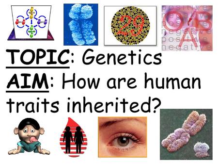 TOPIC: Genetics AIM: How are human traits inherited?
