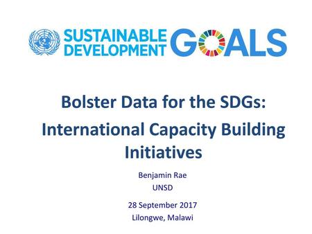 Bolster Data for the SDGs: International Capacity Building Initiatives
