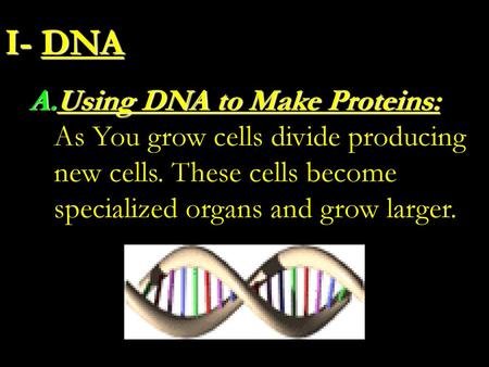 I- DNA Using DNA to Make Proteins: As You grow cells divide producing new cells. These cells become specialized organs and grow larger.