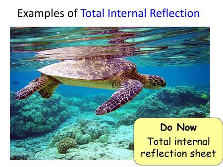 Examples of Total Internal Reflection