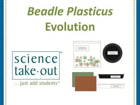 Beadle Plasticus Evolution