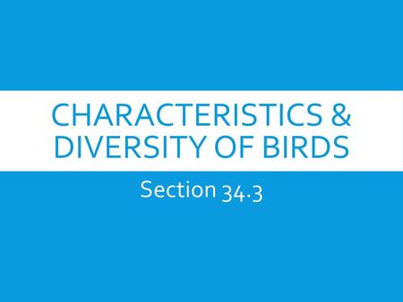 Characteristics & Diversity of Birds