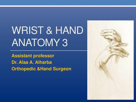 Assistant professor Dr. Alaa A. Alharba Orthopedic &Hand Surgeon