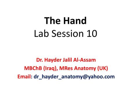 Dr. Hayder Jalil Al-Assam MBChB (Iraq), MRes Anatomy (UK)