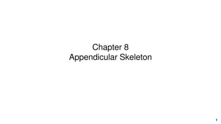 Chapter 8 Appendicular Skeleton
