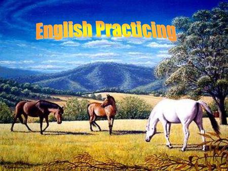 English Practicing.