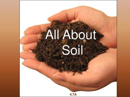 All About Soil All About Soil 4.7A.