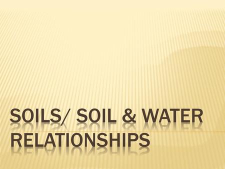 Soils/ Soil & Water Relationships