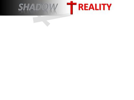 Shadow REALITY.