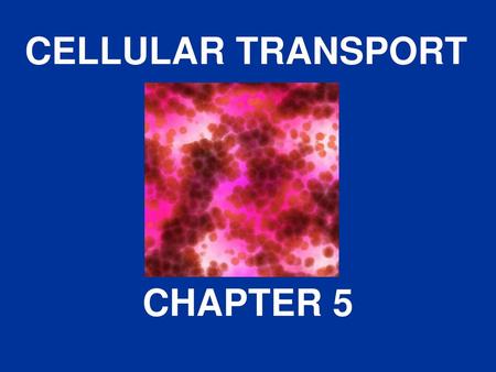 CELLULAR TRANSPORT CHAPTER 5.
