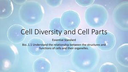 Cell Diversity and Cell Parts