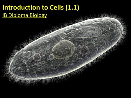 Introduction to Cells (1.1)