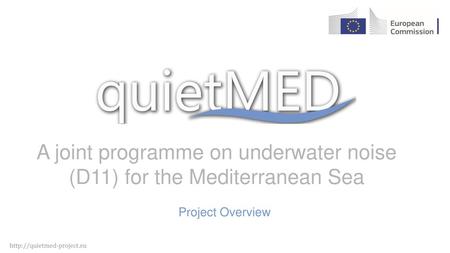 A joint programme on underwater noise (D11) for the Mediterranean Sea