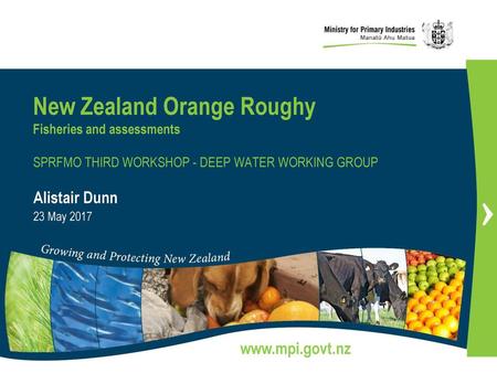 New Zealand Orange Roughy Fisheries and assessments SPRFMO THIRD WORKSHOP - DEEP WATER WORKING GROUP Alistair Dunn 23 May 2017.