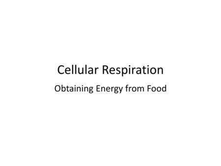 Obtaining Energy from Food