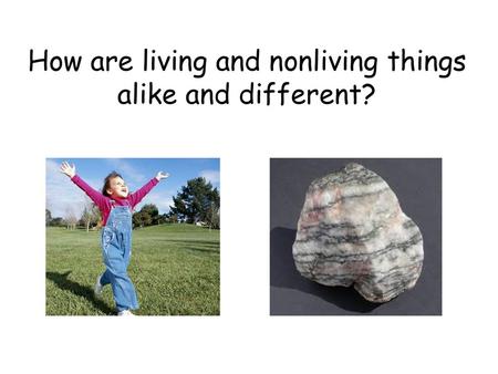 How are living and nonliving things alike and different?