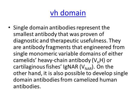 Vh domain Single domain antibodies represent the smallest antibody that was proven of diagnostic and therapeutic usefulness. They are antibody fragments.